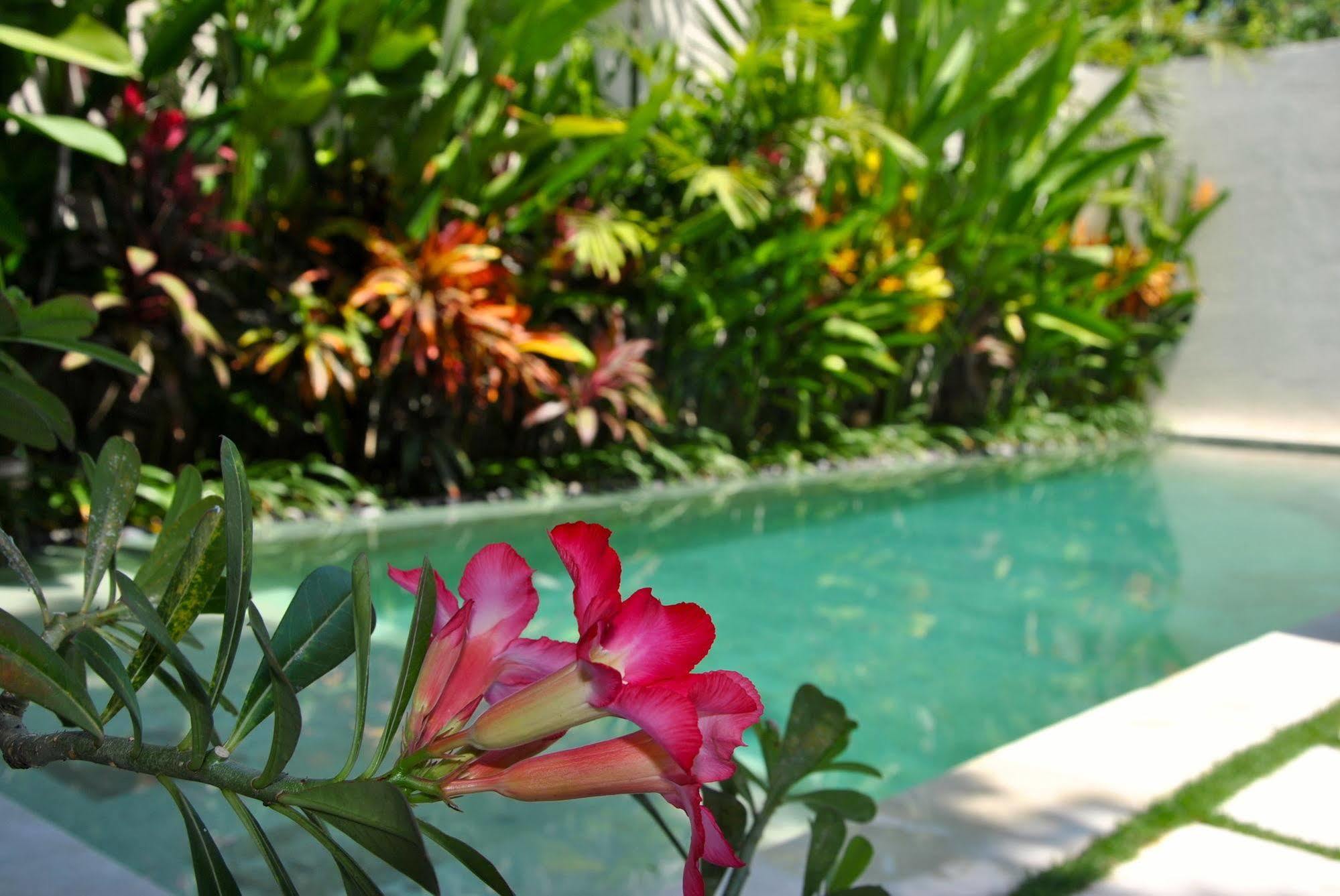 Villa Bali Asri Batubelig Seminyak Exterior foto